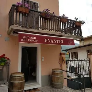 Enantio Belluno Veronese